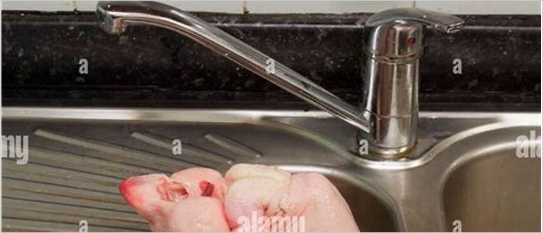 Chicken in the sink